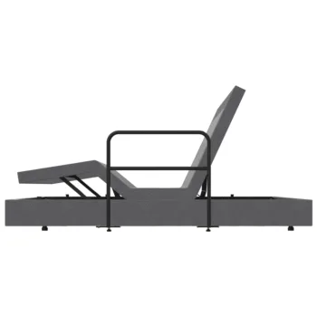 Aspire ComfiMotion Activ Care Bed Rail – Bed Accessories | Coastcare Medical