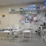 dsc 0019 coastcare carrum downs large.jpeg