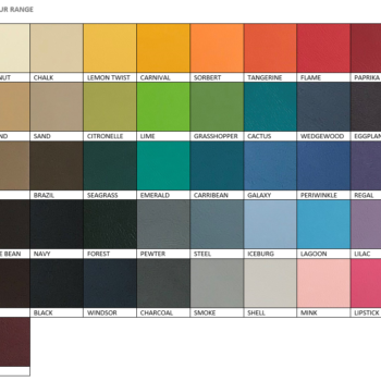 Topform Ashley Recliner Wall Saver Lift Recliner in Vinyl – Single Motor | Coastcare Medical