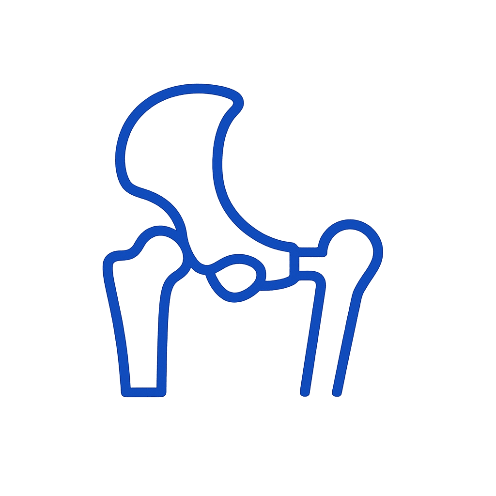 Hip Replacement